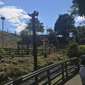 Barbary sheep enclosure (3)