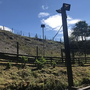 Barbary sheep enclosure (4)
