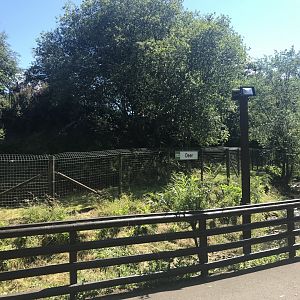 Muntjac deer enclosure (2)