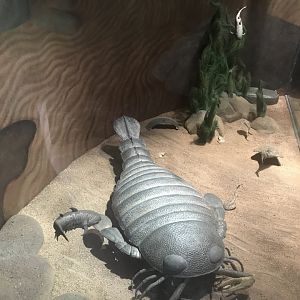 Historic Scotland- Prehistoric species exhibit