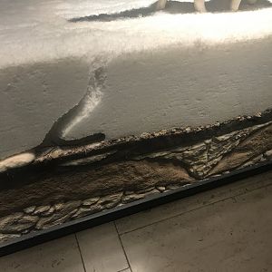 Historic Scotland- Lemmings