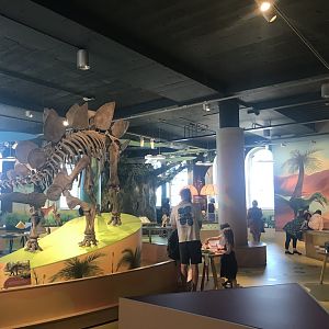 Refurbished kids area