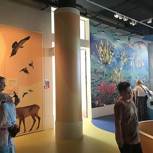 Refurbished kids area (2)