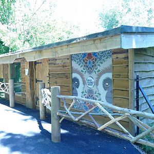 Lar gibbon house, July 2022