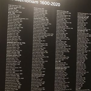 Memorial of species extinct between 1600-2016 (no invertebrates)