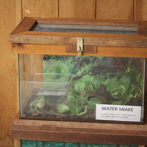 Cape May Point State Park - Northern Watersnake Exhibit