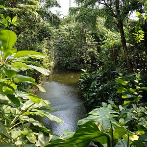 General view in Godwanaland