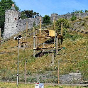 Gelada enclosure - bachelor group