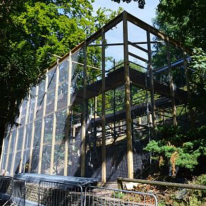 New aviary under construction