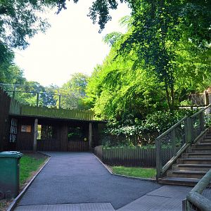 View towards tiger ground level viewing area.