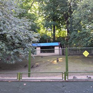 Parma wallaby enclosure