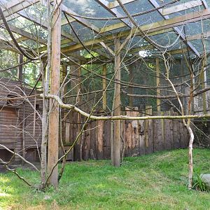 Sloth outdoor enclosure