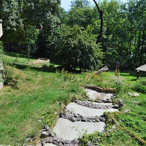 Asiatic lion enclosure