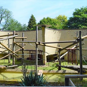 Old orang outdoor enclosure.