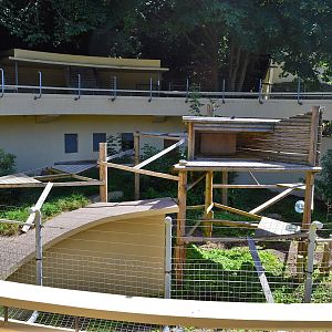 Arctic fox enclosure