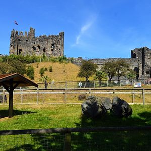 View of castle overlooking wallaby walkthrough.