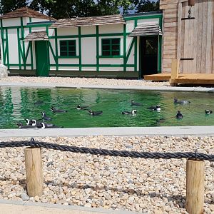 Part of new penguin enclosure