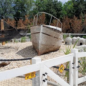 Part of new penguin enclosure