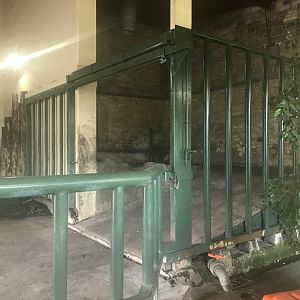 Indian rhino indoor heated pool