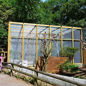 New aviaries under construction