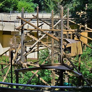 New wolverine enclosure