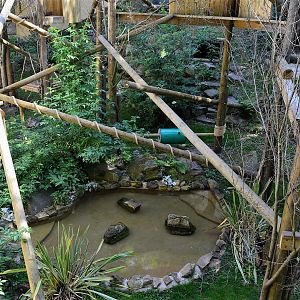 New wolverine enclosure