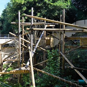 New wolverine enclosure