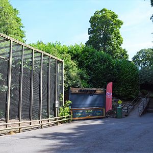 General view - aviary & kiosk
