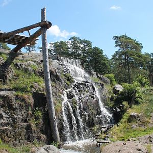 Brown Bear Enclosure