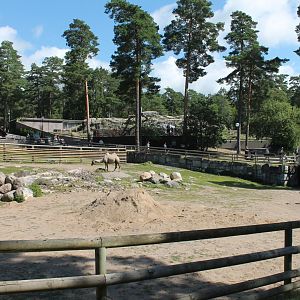 Takin/Camel Enclosure