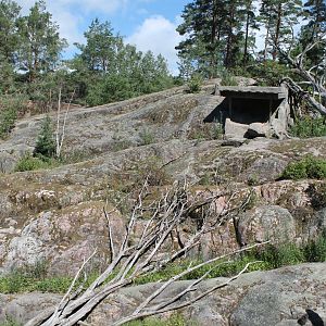 Snow Leopard Enclosure