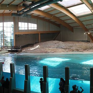 Dolphin Enclosure