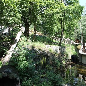 Arctic Fox Enclosure