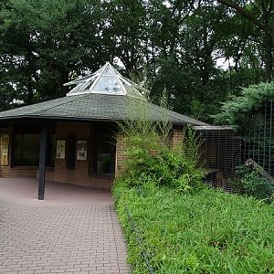 Enclosure for jaguar (07/22)