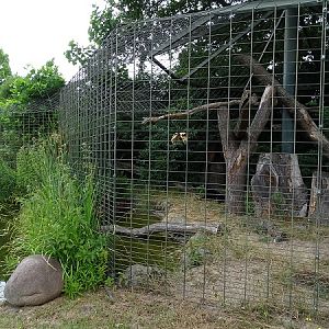Enclosure for jaguar (07/22)