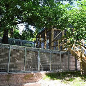 New animal access tunnels and steps to keeper access door.