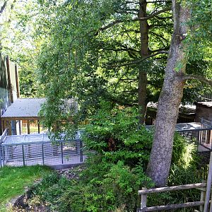 New animal access tunnel