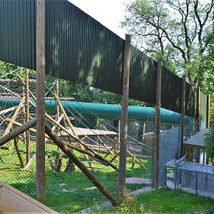 Animal access tunnel to new Bornean orangutan enclosure