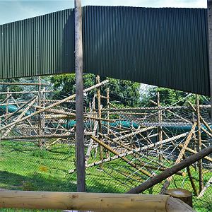 New Bornean orangutan enclosure