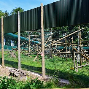 New Bornean orangutan enclosure