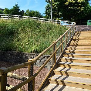 Stairs leading down to new viewing point for new orang enclosure.