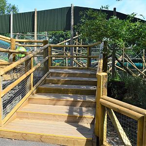 Steps to new viewing point for new orang enclosure