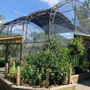 White Cheeked Gibbon Exhibit