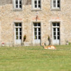Atmosphere around Branféré castle