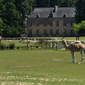 Atmosphere around Branféré castle
