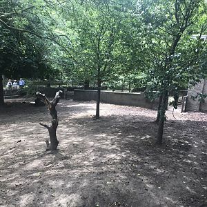 Pygmy hippo enclosure