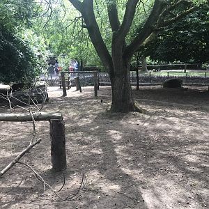 Pygmy hippo enclosure (2)