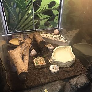 Land hermit crab enclosure