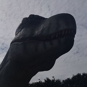 Tyrannosaurus animatronic