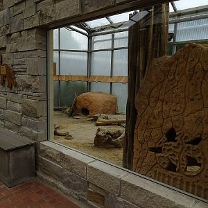 Giraffehaus - new fennec enclosure (07/22)